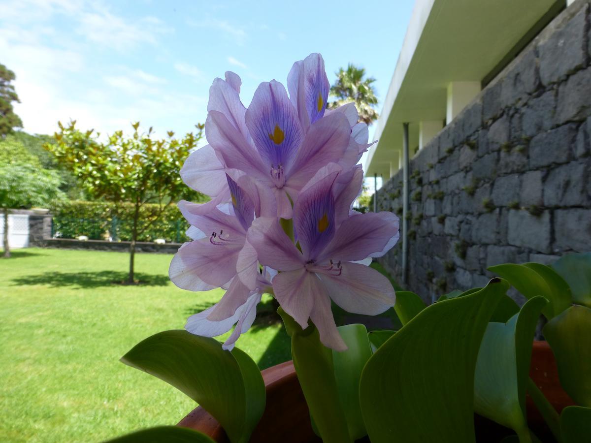 Quinta Do Vale Konuk evi Horta  Dış mekan fotoğraf